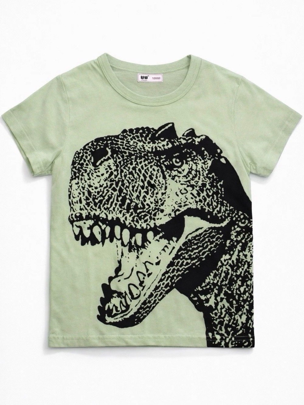 Roaring Dinosaur Graphic Tee - Light Green